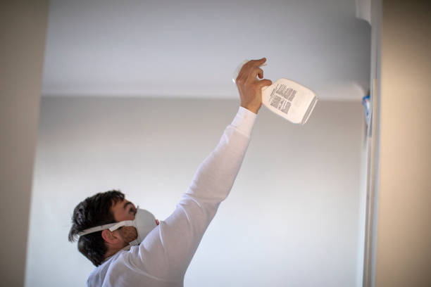 New Palestine, IN Mold Removal Company
