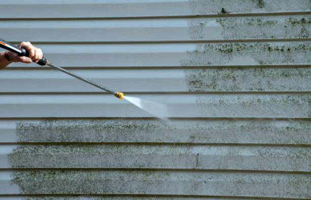 Certified Mold Removal in New Palestine, IN