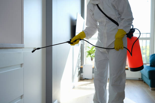 Best Mold Removal Specialists  in New Paleste, IN