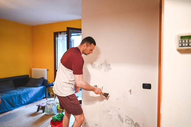 Best Mold Remediation Experts  in New Paleste, IN